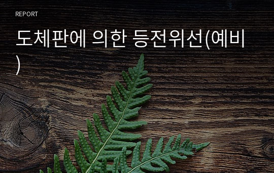 도체판에 의한 등전위선(예비)