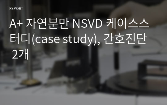 A+ 자연분만 NSVD 케이스스터디(case study), 간호진단 2개