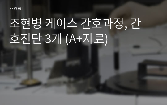 조현병 케이스 간호과정, 간호진단 3개 (A+자료)