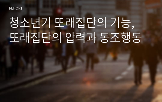 청소년기 또래집단의 기능, 또래집단의 압력과 동조행동