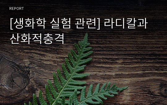 [생화학 실험 관련] 라디칼과 산화적충격