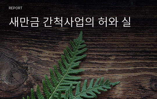 새만금 간척사업의 허와 실