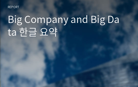Big Company and Big Data 한글 요약