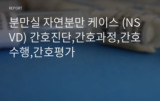 분만실 자연분만 케이스 (NSVD) 간호진단,간호과정,간호수행,간호평가