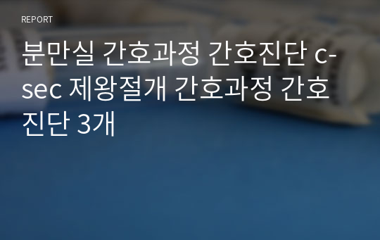 분만실 간호과정 간호진단 c-sec 제왕절개 간호과정 간호진단 3개