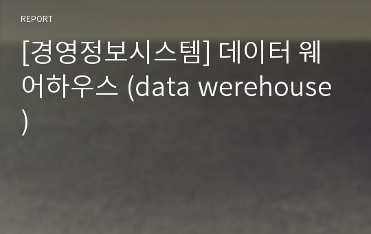 [경영정보시스템] 데이터 웨어하우스 (data werehouse)