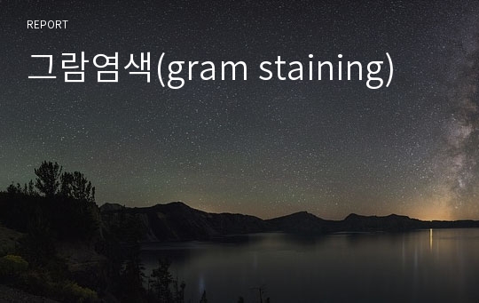 그람염색(gram staining)