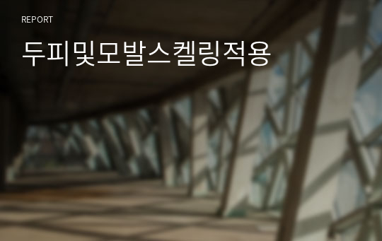 두피및모발스켈링적용