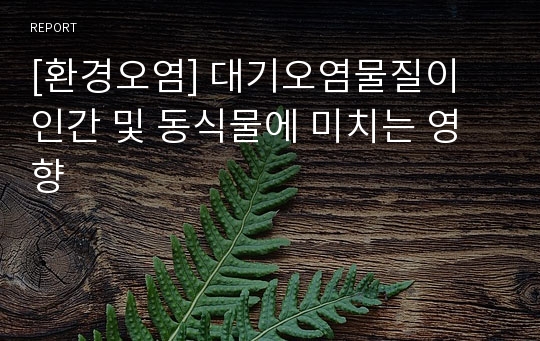 [환경오염] 대기오염물질이 인간 및 동식물에 미치는 영향