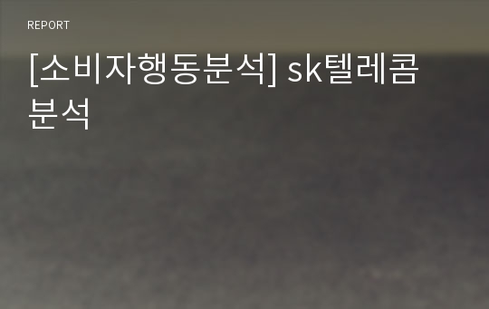 [소비자행동분석] sk텔레콤 분석