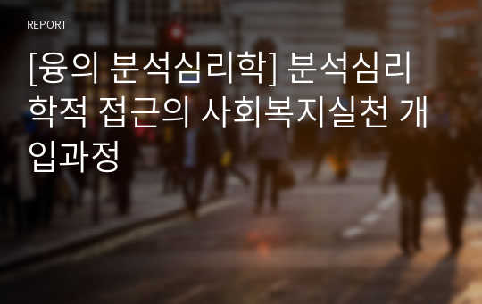 [융의 분석심리학] 분석심리학적 접근의 사회복지실천 개입과정