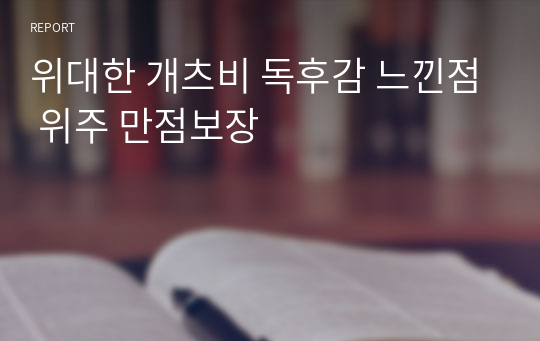 위대한 개츠비 독후감 느낀점 위주 만점보장