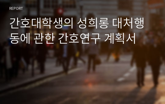 간호대학생의 성희롱 대처행동에 관한 간호연구 계획서