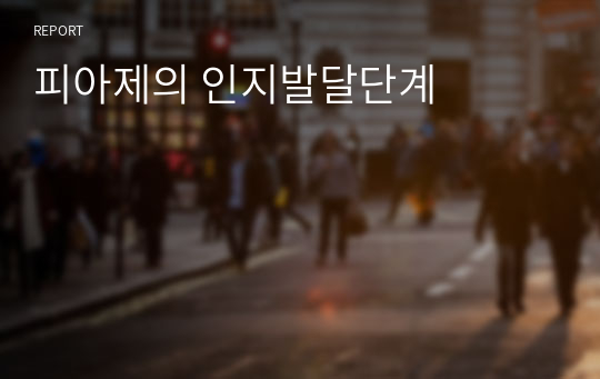 피아제의 인지발달단계