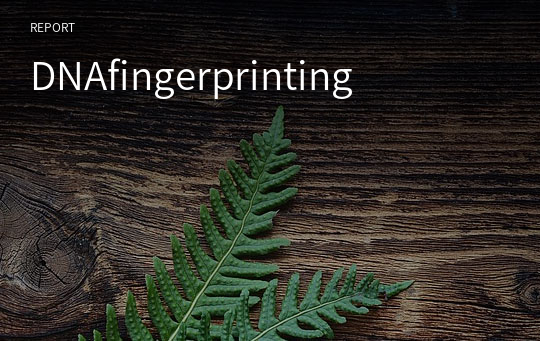 DNAfingerprinting