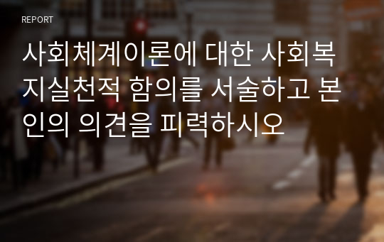 사회체계이론에 대한 사회복지실천적 함의를 서술하고 본인의 의견을 피력하시오