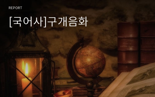 [국어사]구개음화