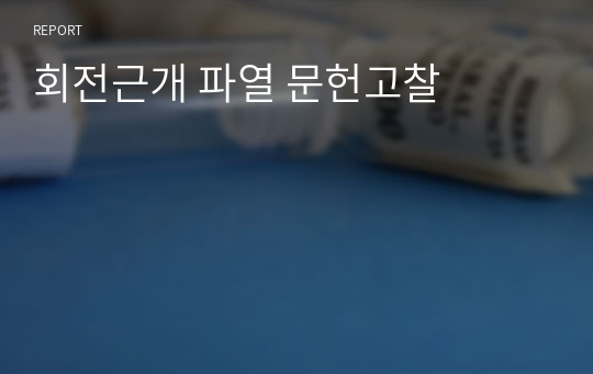 회전근개 파열 문헌고찰