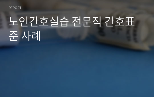 노인간호실습 전문직 간호표준 사례