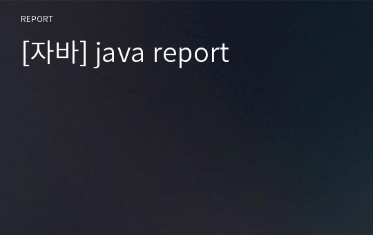 [자바] java report