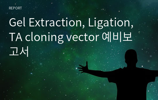 Gel Extraction, Ligation, TA cloning vector 예비보고서