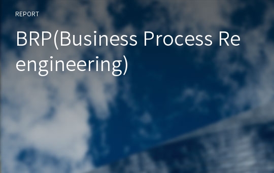 BRP(Business Process Reengineering)