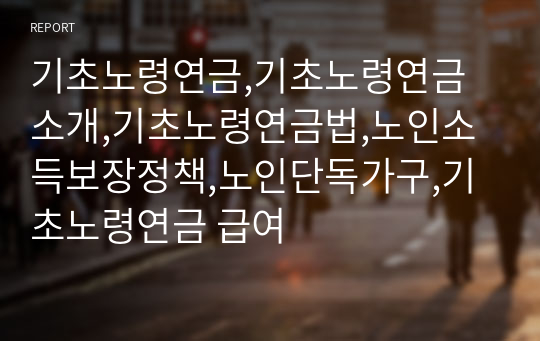 기초노령연금,기초노령연금 소개,기초노령연금법,노인소득보장정책,노인단독가구,기초노령연금 급여