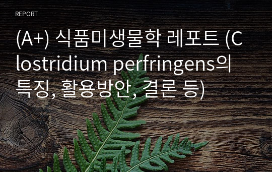 (A+) 식품미생물학 레포트 (Clostridium perfringens의 특징, 활용방안, 결론 등)