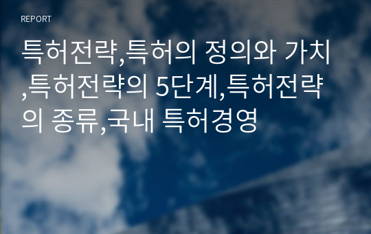 특허전략,특허의 정의와 가치,특허전략의 5단계,특허전략의 종류,국내 특허경영