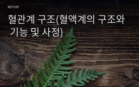 혈관계 구조(혈액계의 구조와 기능 및 사정)