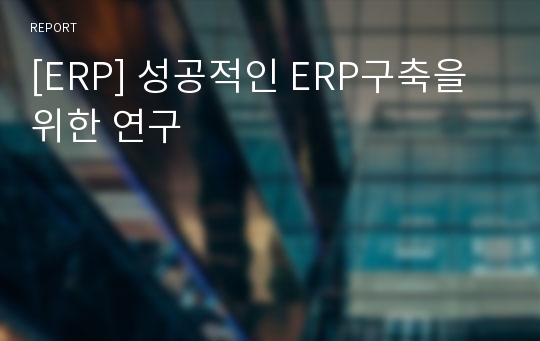 [ERP] 성공적인 ERP구축을 위한 연구