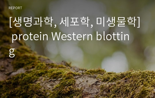 [생명과학, 세포학, 미생물학] protein Western blotting