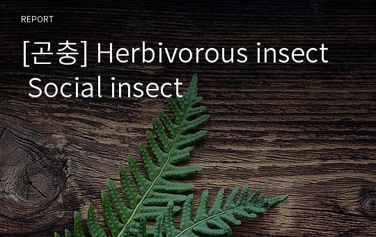 [곤충] Herbivorous insect Social insect