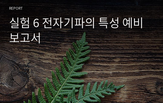 실험 6 전자기파의 특성 예비보고서