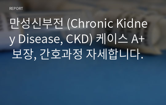 만성신부전 (Chronic Kidney Disease, CKD) 케이스 A+ 보장, 간호과정 자세합니다.