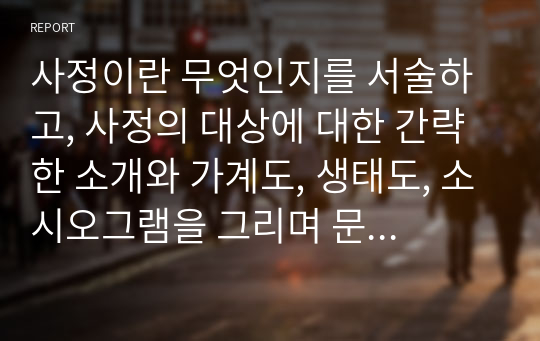 사정이란 무엇인지를 서술하고, 사정의 대상에 대한 간략한 소개와 가계도, 생태도, 소시오그램을 그리며 문제의 목표를 설정해 봅니다