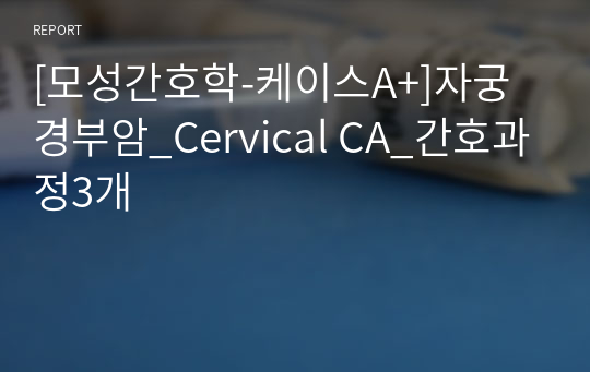 [모성간호학-케이스A+]자궁경부암_Cervical CA_간호과정3개