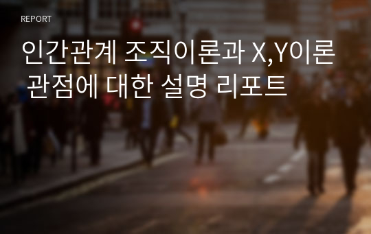 인간관계 조직이론과 X,Y이론 관점에 대한 설명 리포트