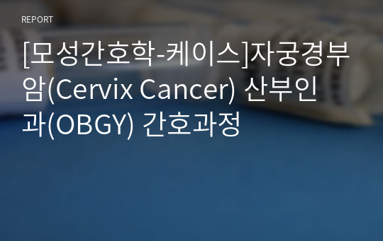 [모성간호학-케이스]자궁경부암(Cervix Cancer) 산부인과(OBGY) 간호과정