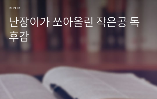 난장이가 쏘아올린 작은공 독후감