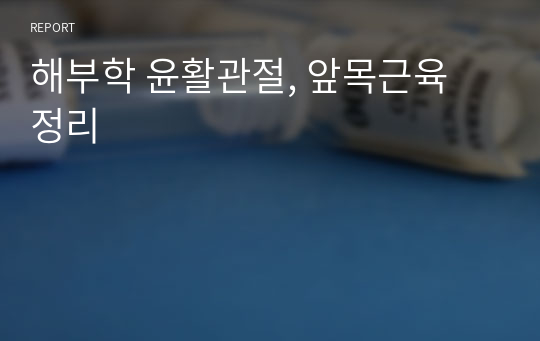 해부학 윤활관절, 앞목근육 정리