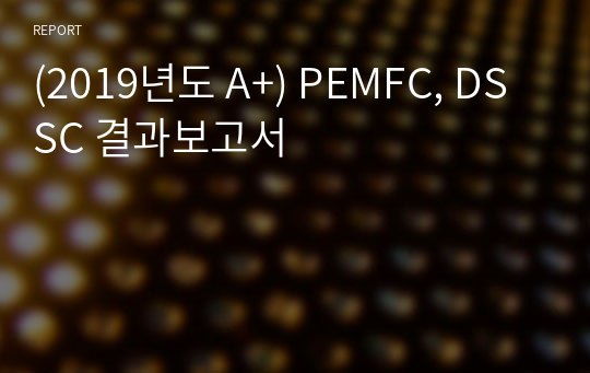 (2019년도 A+) PEMFC, DSSC 결과보고서