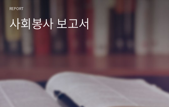 사회봉사 보고서