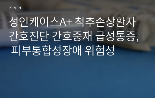 성인케이스A+ 척추손상환자 간호진단 간호중재 급성통증, 피부통합성장애 위험성