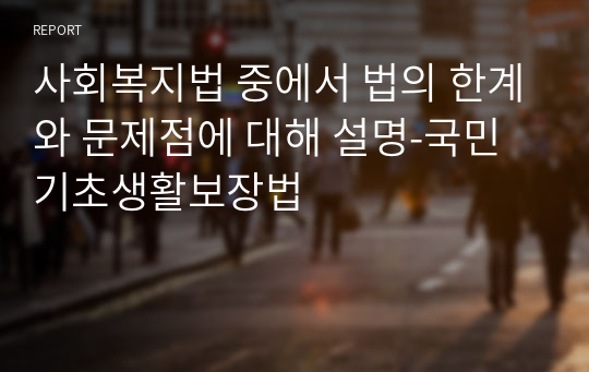 사회복지법 중에서 법의 한계와 문제점에 대해 설명-국민기초생활보장법