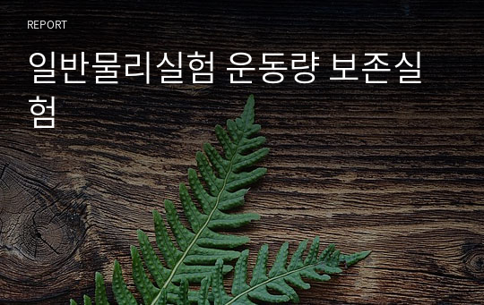 일반물리실험 운동량 보존실험