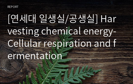 [연세대 일생실/공생실] Harvesting chemical energy-Cellular respiration and fermentation