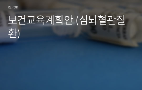 보건교육계획안 (심뇌혈관질환)