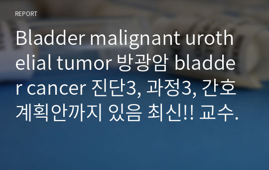 Bladder malignant urothelial tumor 방광암 bladder cancer 진단3, 과정3, 간호계획안까지 있음 최신!! 교수님 칭찬받음!! 성인간호학실습 A+