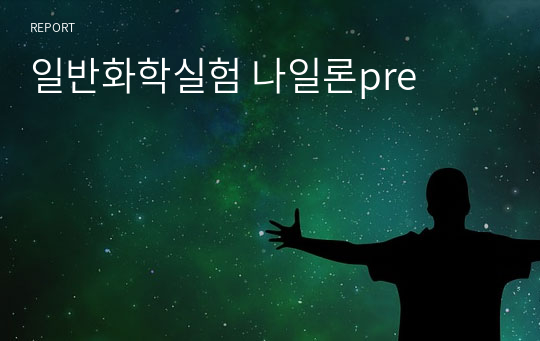 일반화학실험 나일론pre